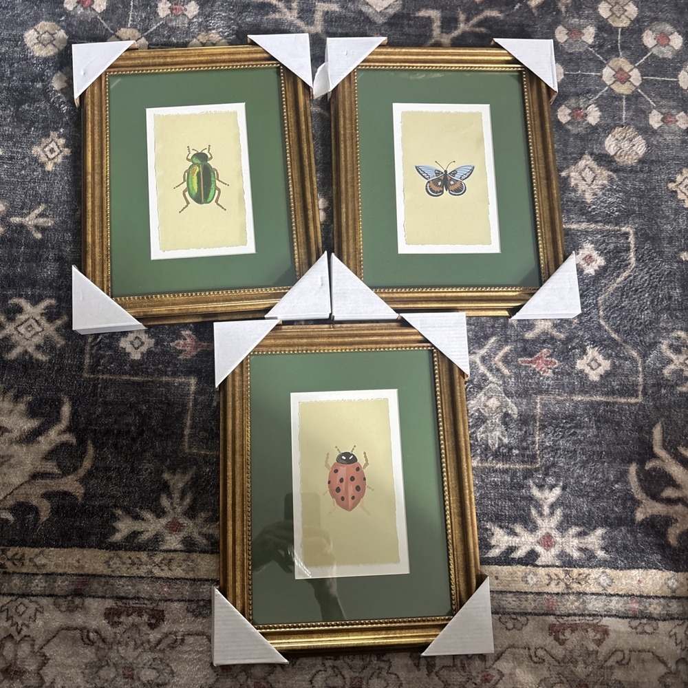 Target Gold Foiled Insect Poster Framed Wall Art Set Of 3 From Rifle Paper Co.